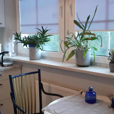 Lägenhet Eko Panorama Big *