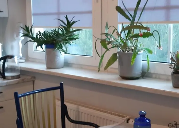 Apartamento Eko Panorama Big *